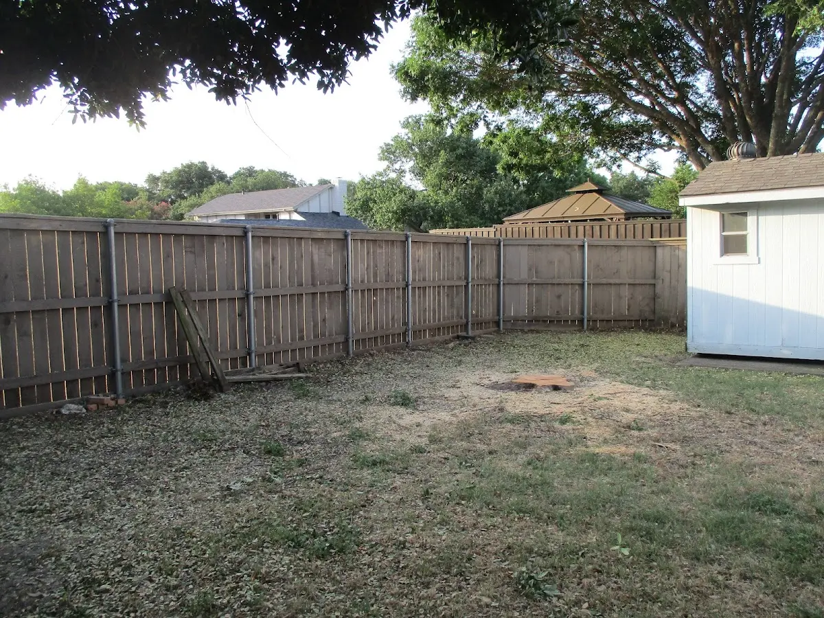 Cleared yard after professional tree removal in Norristown